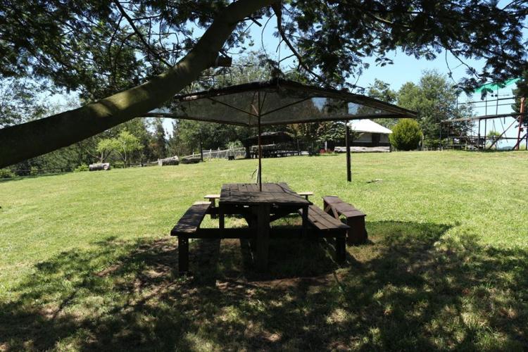 Fotografía 6 de Canopy Lautaro en Temuco, Araucania