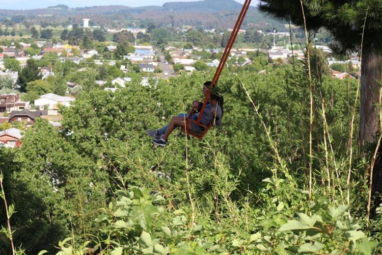 Fotografía 10 de Canopy Lautaro en Temuco, Araucania