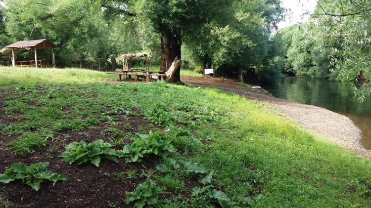 Fotografía 2 de Camping El Sausalito en Vilcun, Araucania