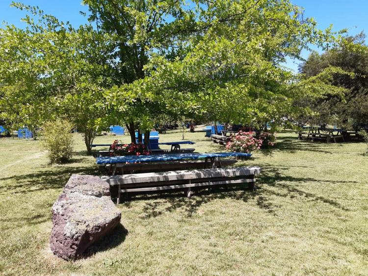 Fotografía 2 de Piscina y Camping Las Nubes en Pichidegua, Ohiggins