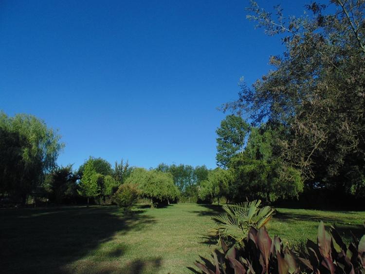 Fotografía 5 de Camping Las Torcacitas en Yerbas Buenas, Maule