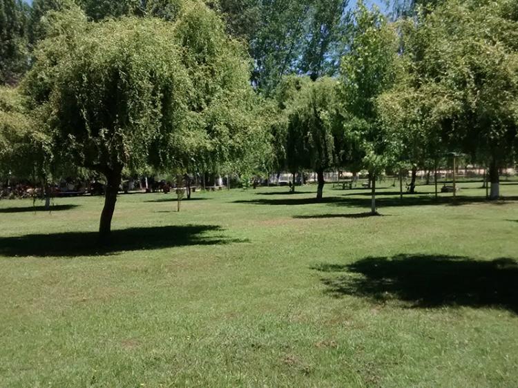 Fotografía 16 de Camping Las Torcacitas en Yerbas Buenas, Maule