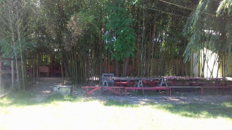 Fotografía 3 de Camping Ebenezer en Isla De Maipo, Metropolitana