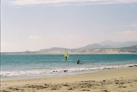 Fotografía 2 de Camping el Bosque de Pichidangui en Los Vilos, Coquimbo