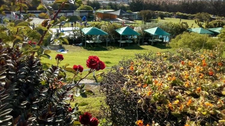 Fotografía 7 de Camping Kora Kora en Coquimbo, Coquimbo