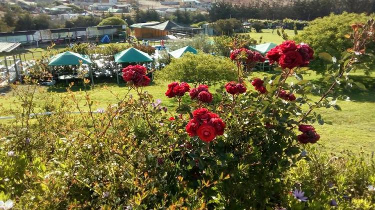 Fotografía 8 de Camping Kora Kora en Coquimbo, Coquimbo