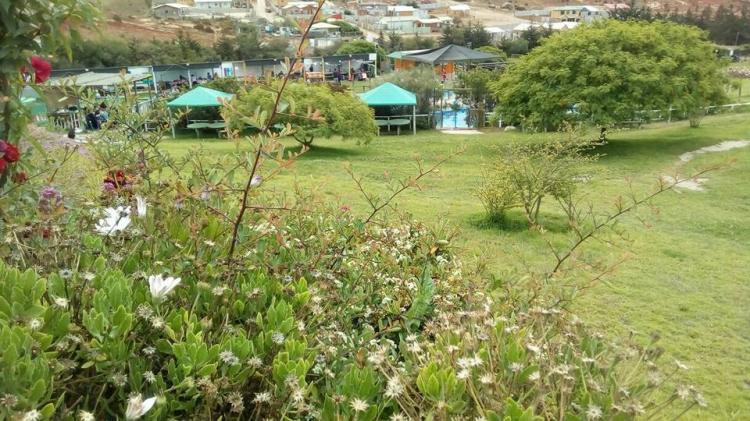 Fotografía 10 de Camping Kora Kora en Coquimbo, Coquimbo