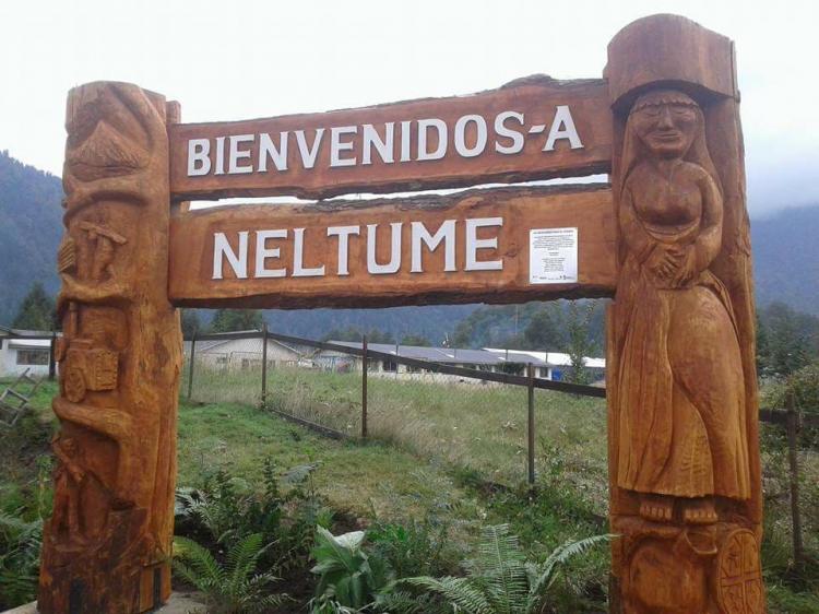 Fotografía 2 de Camping Los Alamos del Huilo en Panguipulli, Los Rios