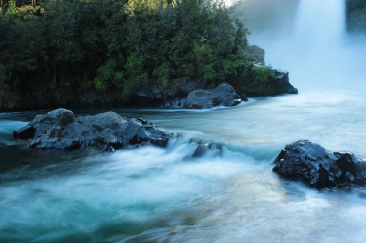 Fotografía 8 de Camping Los Alamos del Huilo en Panguipulli, Los Rios