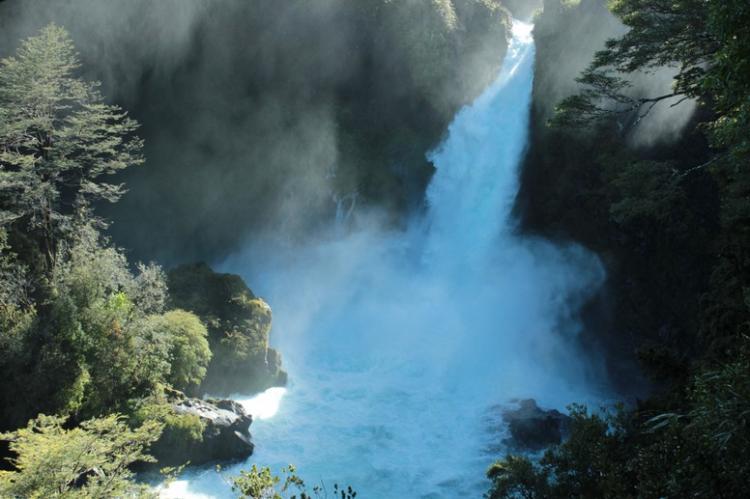 Fotografía 9 de Camping Los Alamos del Huilo en Panguipulli, Los Rios