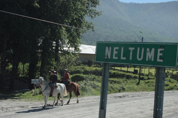 Fotografía 10 de Camping Los Alamos del Huilo en Panguipulli, Los Rios