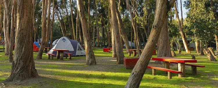 Fotografía 5 de Camping Bahia Marina Pichidangui en Los Vilos, Coquimbo