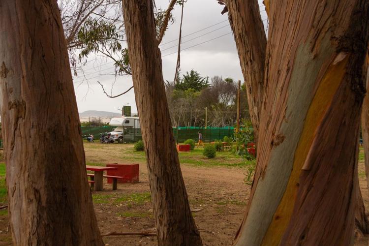 Fotografía 6 de Camping Bahia Marina Pichidangui en Los Vilos, Coquimbo