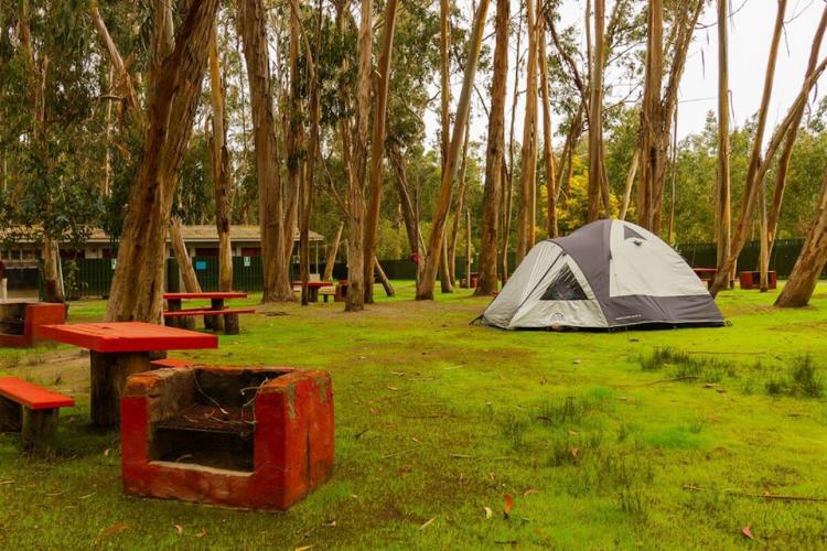 Fotografía 7 de Camping Bahia Marina Pichidangui en Los Vilos, Coquimbo