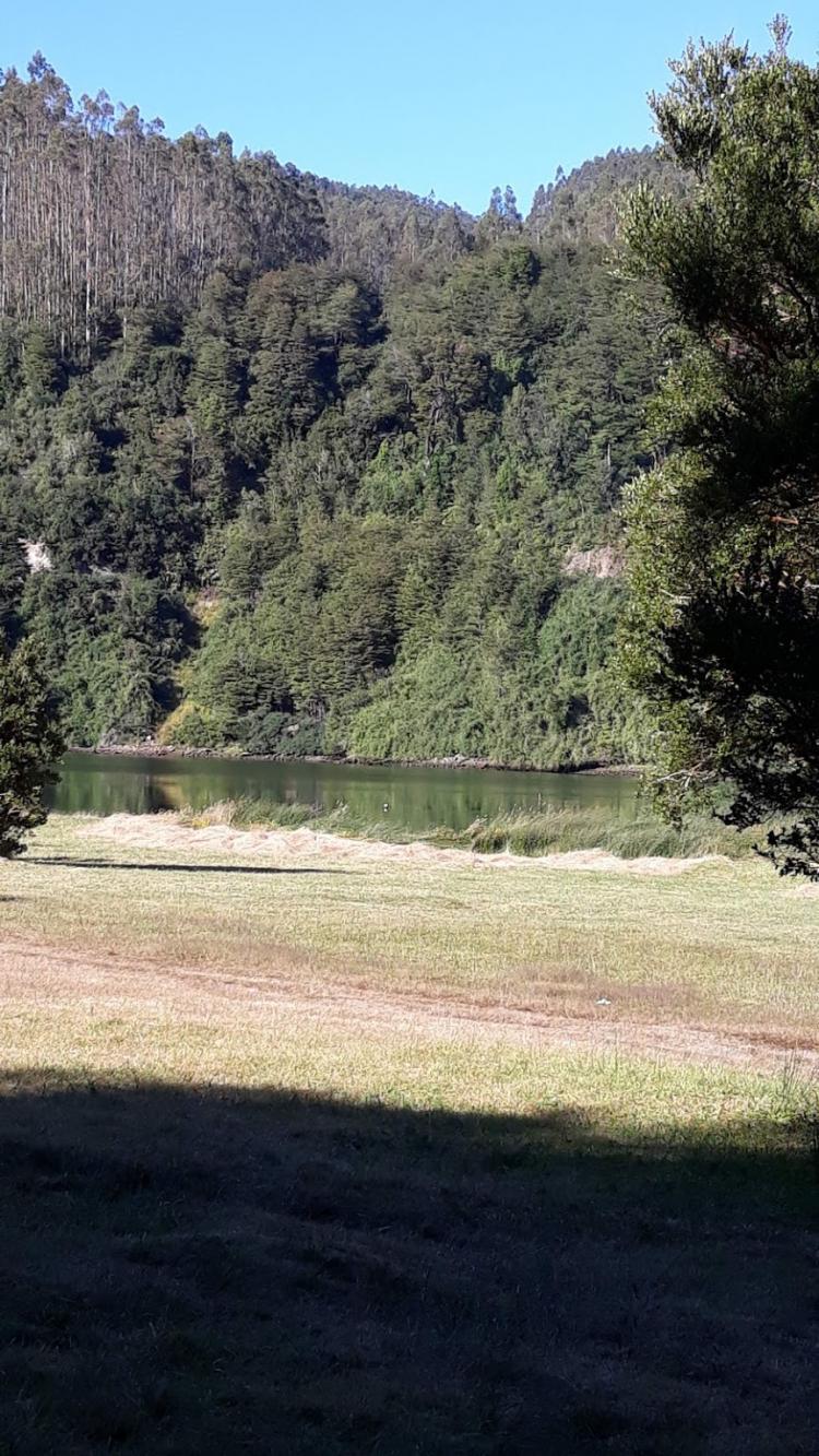 Fotografía 3 de Camping Don Guillermo en Corral, Los Rios