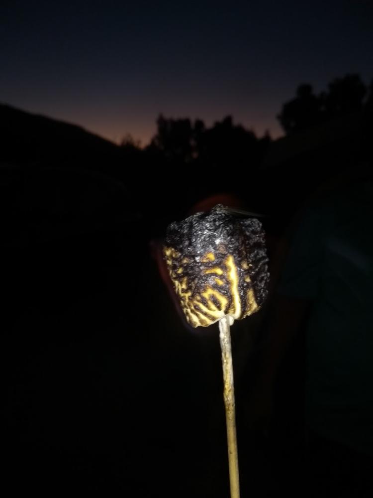 Fotografía 6 de Camping Don Guillermo en Corral, Los Rios