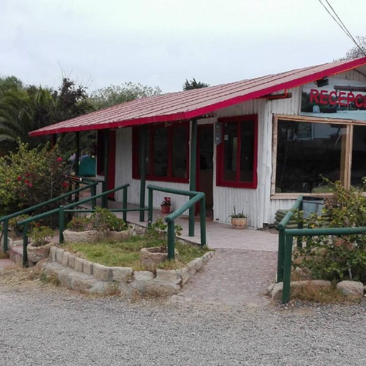 Fotografía 12 de Camping El Oasis de Guanaqueros en Coquimbo, Coquimbo