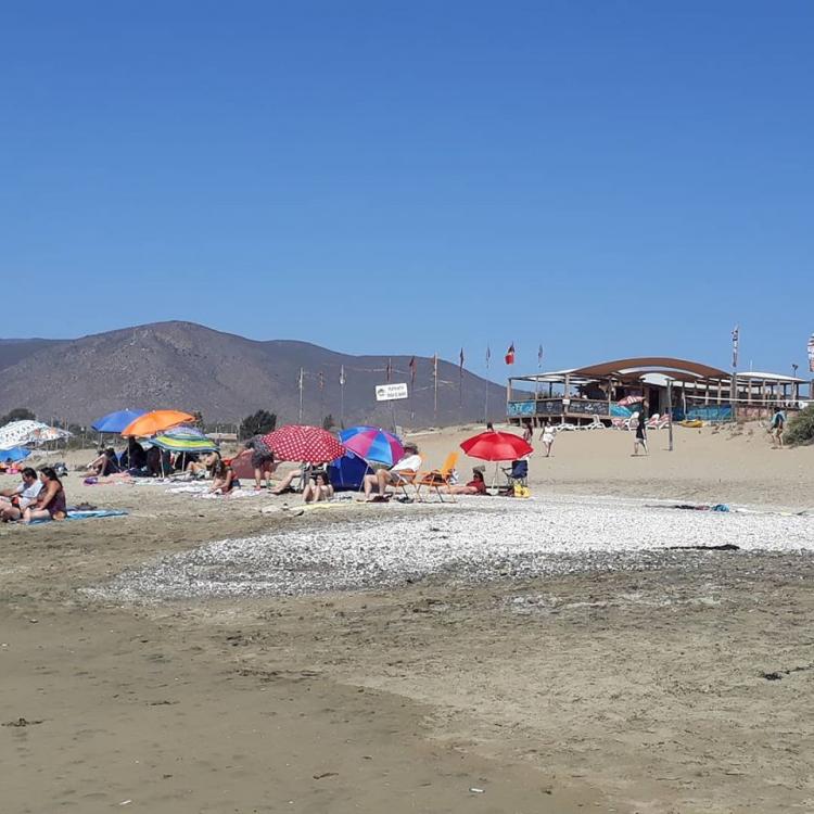 Fotografía 16 de Camping El Oasis de Guanaqueros en Coquimbo, Coquimbo