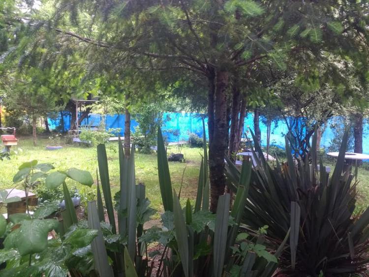 Fotografía 5 de Camping El Gringo en Puerto Varas, Los Lagos