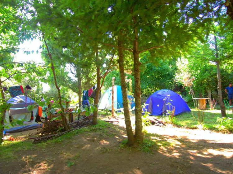 Fotografía 12 de Camping El Gringo en Puerto Varas, Los Lagos