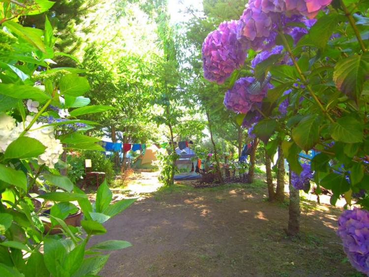 Fotografía 13 de Camping El Gringo en Puerto Varas, Los Lagos