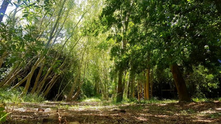 Fotografía 18 de Camping Ayun Chillan en Pinto, Bio Bio