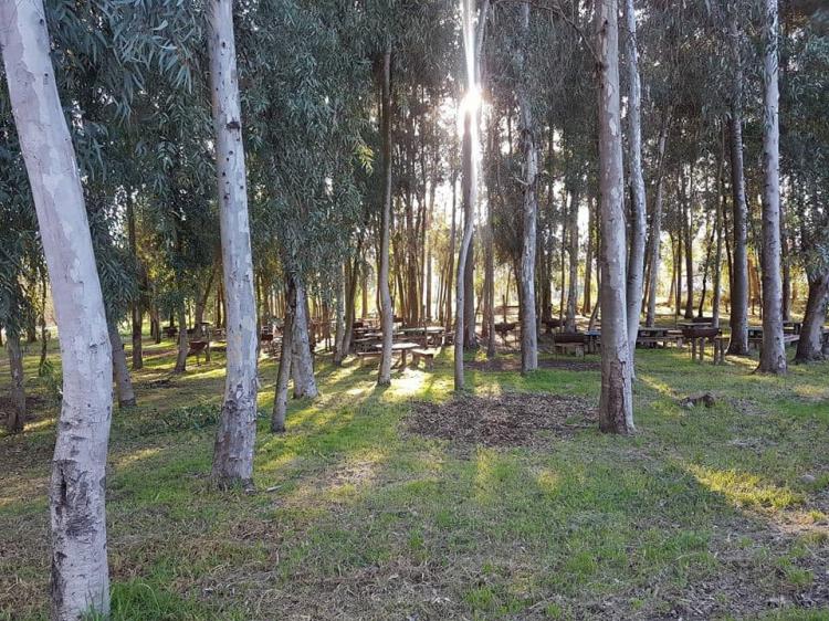 Fotografía 6 de Parque Espacio Mallinco en Peñaflor, Metropolitana