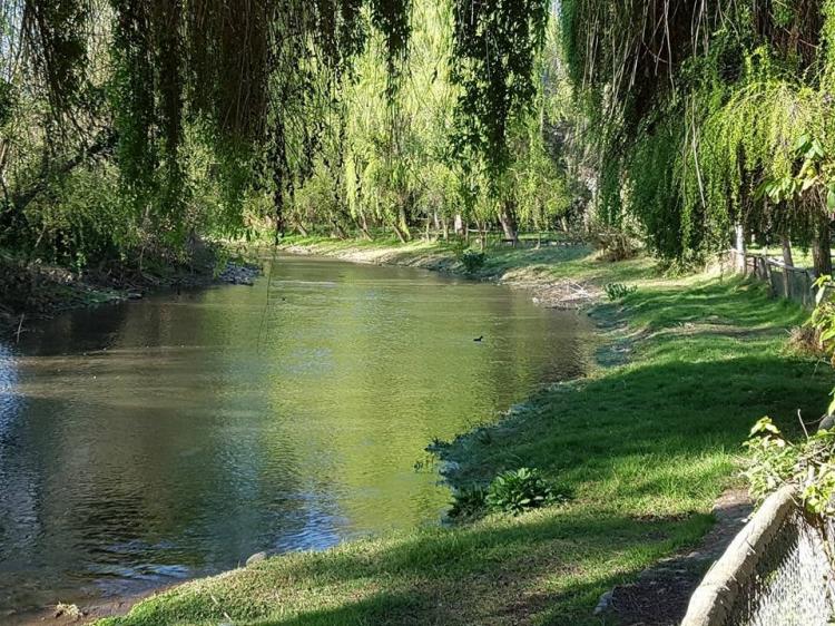 Fotografía 8 de Parque Espacio Mallinco en Peñaflor, Metropolitana