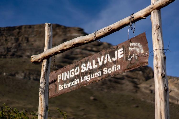 Fotografía 3 de Camping Pingo Salvaje en Puerto Natales, Magallanes