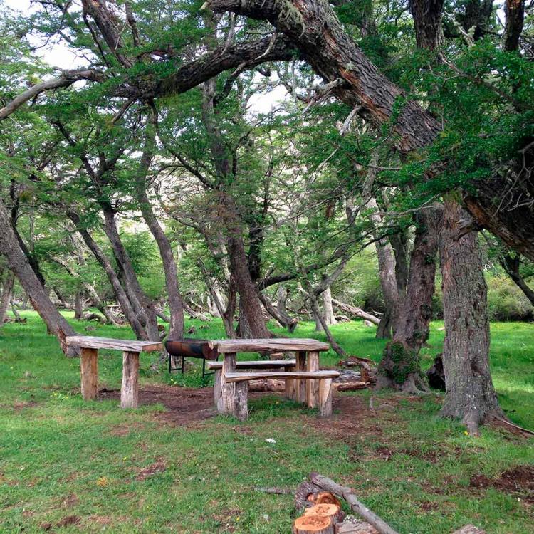 Camping Pingo Salvaje en Puerto Natales, Magallanes