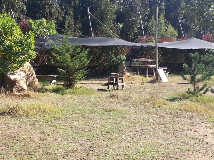 Fotografía 2 de Camping Playa Caucau en Puchuncavi, Valparaiso