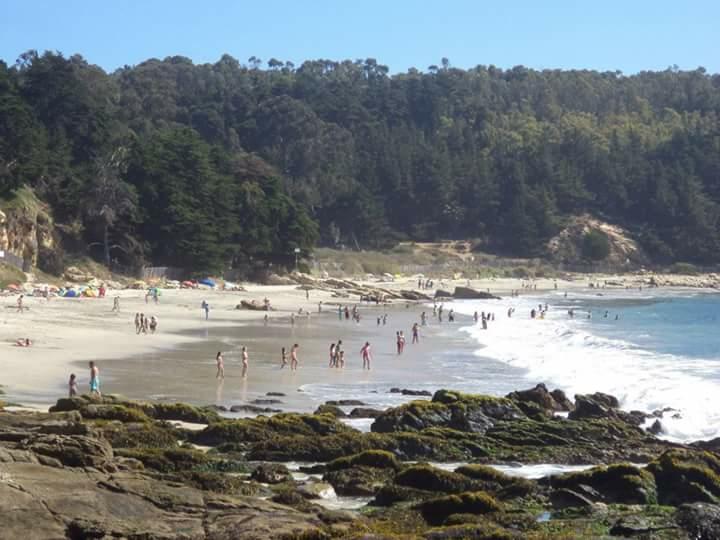 Fotografía 7 de Camping Playa Caucau en Puchuncavi, Valparaiso