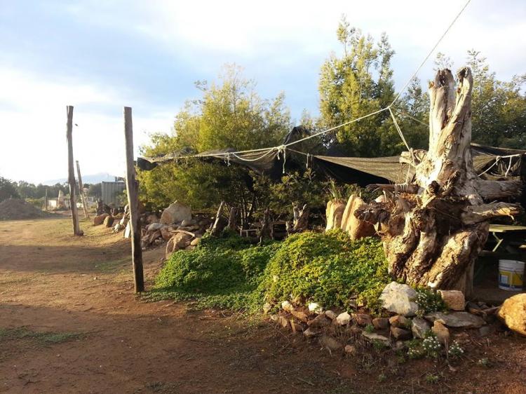Fotografía 9 de Camping Playa Caucau en Puchuncavi, Valparaiso