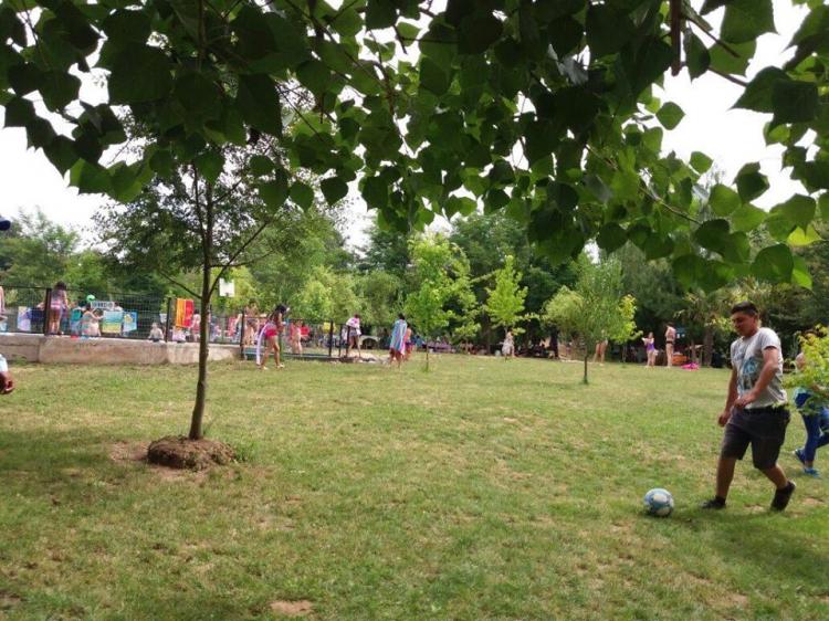 Fotografía 15 de Camping Entre Aguas en Longavi, Maule