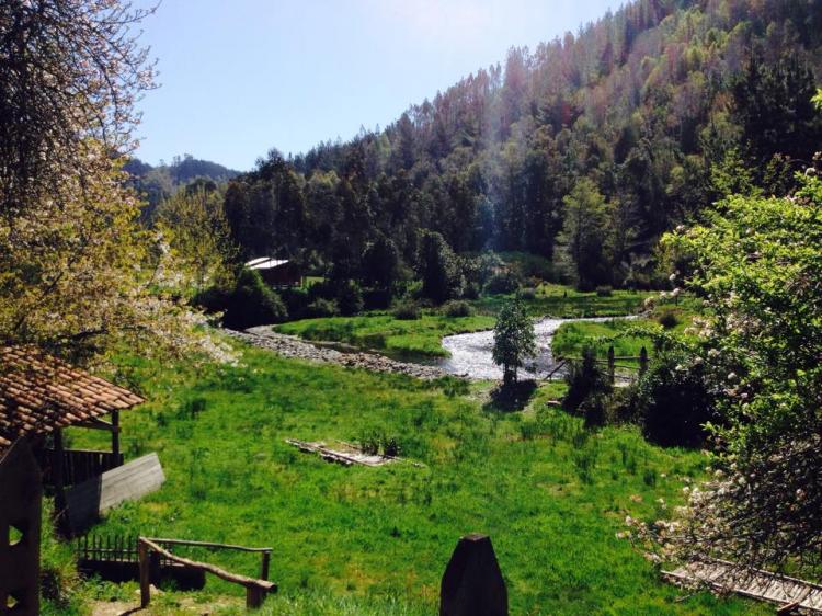 Fotografía 4 de Centro Turistico Los Chilcos en Puren, Araucania
