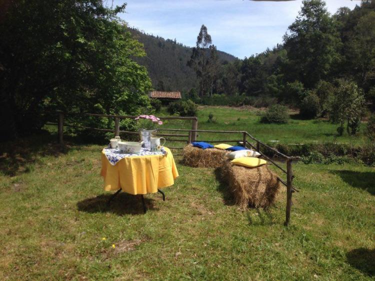 Fotografía 6 de Centro Turistico Los Chilcos en Puren, Araucania