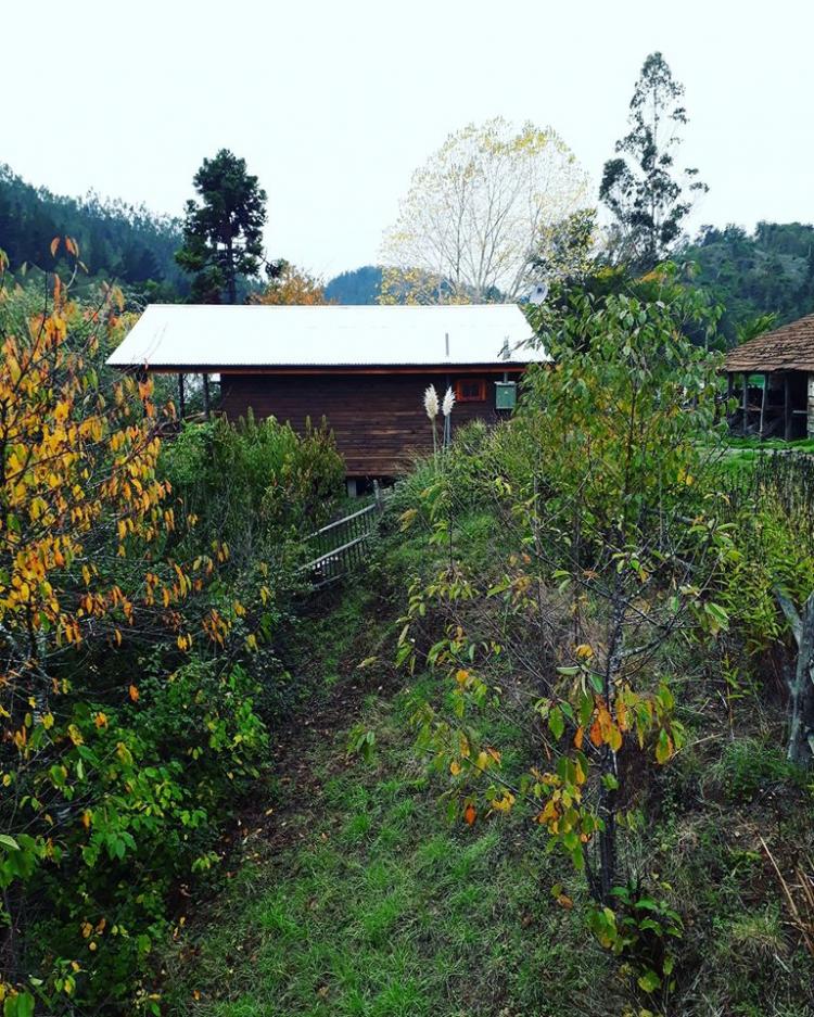Fotografía 16 de Centro Turistico Los Chilcos en Puren, Araucania