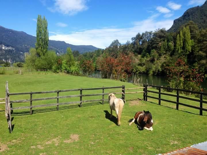 Fotografía 5 de Camping Rincon Criollo en Aysen, Aysen