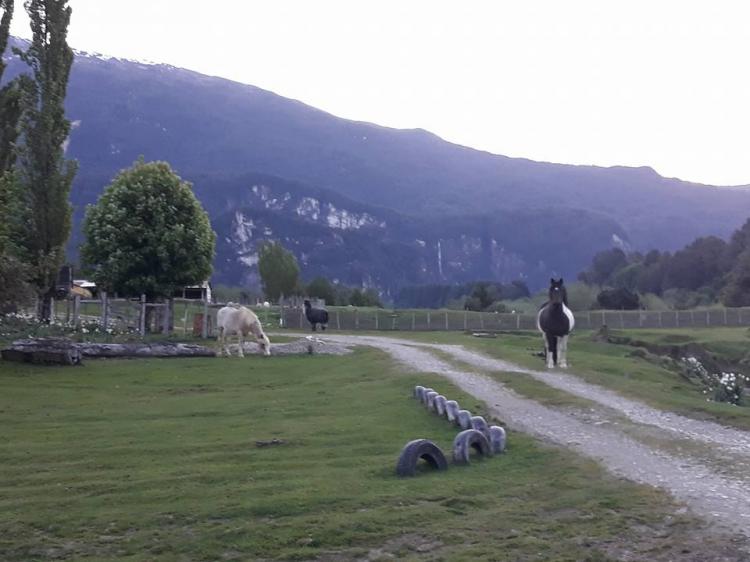 Fotografía 6 de Camping Rincon Criollo en Aysen, Aysen