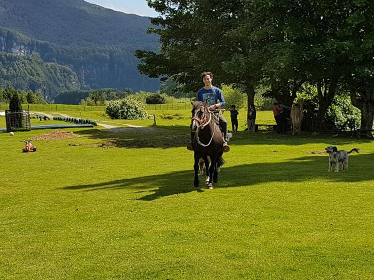 Fotografía 17 de Camping Rincon Criollo en Aysen, Aysen