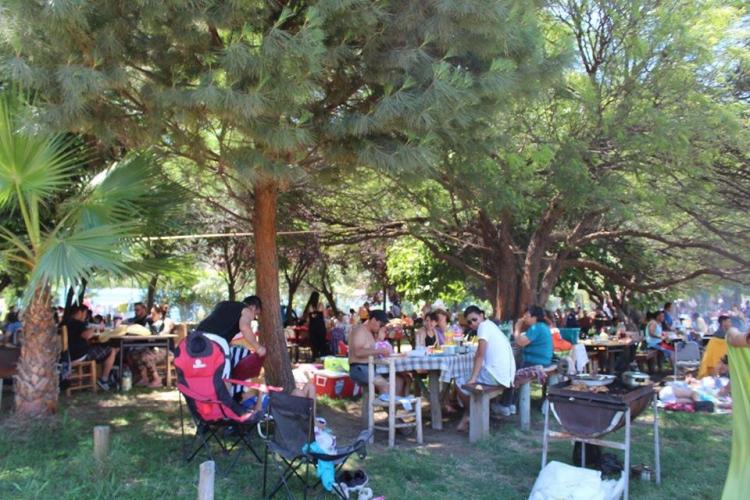 Fotografía 5 de Camping y Piscinas Los Algarrobos en San Felipe, Valparaiso