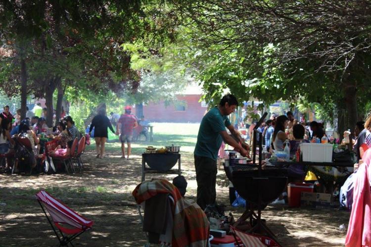 Fotografía 9 de Camping y Piscinas Los Algarrobos en San Felipe, Valparaiso