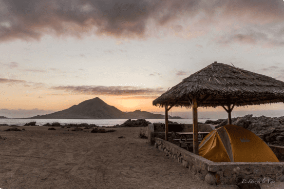 Camping Los Pinguinos en Chañaral, Atacama