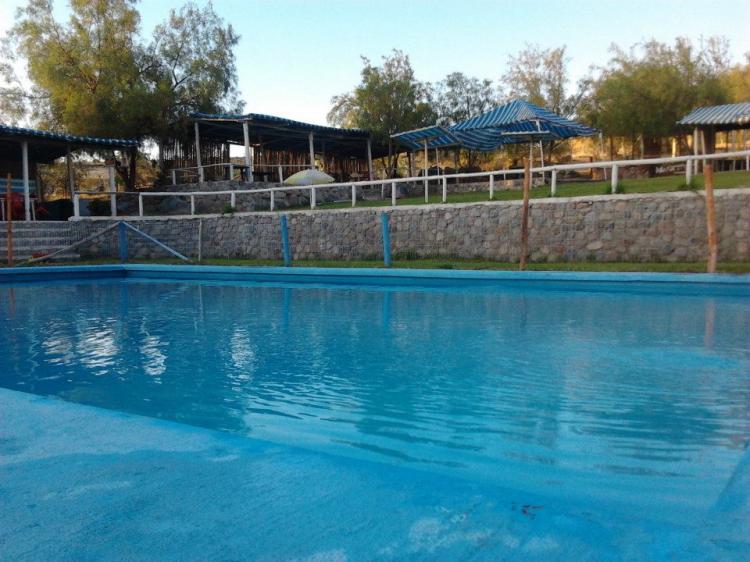 Fotografía 3 de Camping La Totorita en Vicuña, Coquimbo