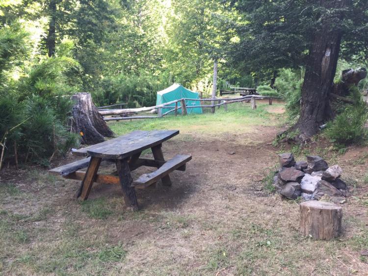 Fotografía 2 de Camping Termas Malleco en Curacautin, Araucania