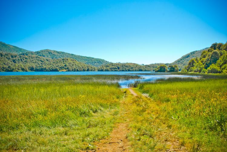 Fotografía 3 de Camping Termas Malleco en Curacautin, Araucania