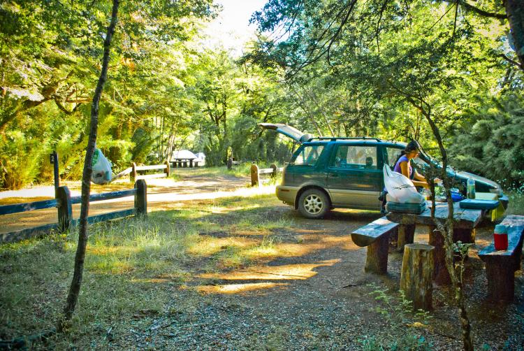 Fotografía 5 de Camping Termas Malleco en Curacautin, Araucania