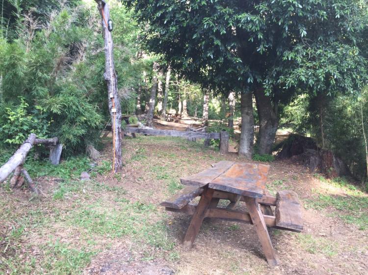 Fotografía 6 de Camping Termas Malleco en Curacautin, Araucania