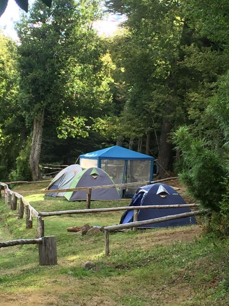 Fotografía 9 de Camping Termas Malleco en Curacautin, Araucania