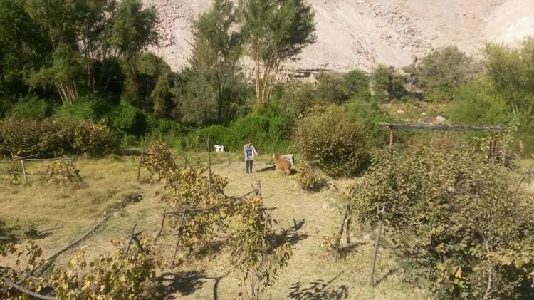 Fotografía 5 de Camping Samkanjama en Camarones, Arica Y Parinacota